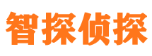 清河侦探公司